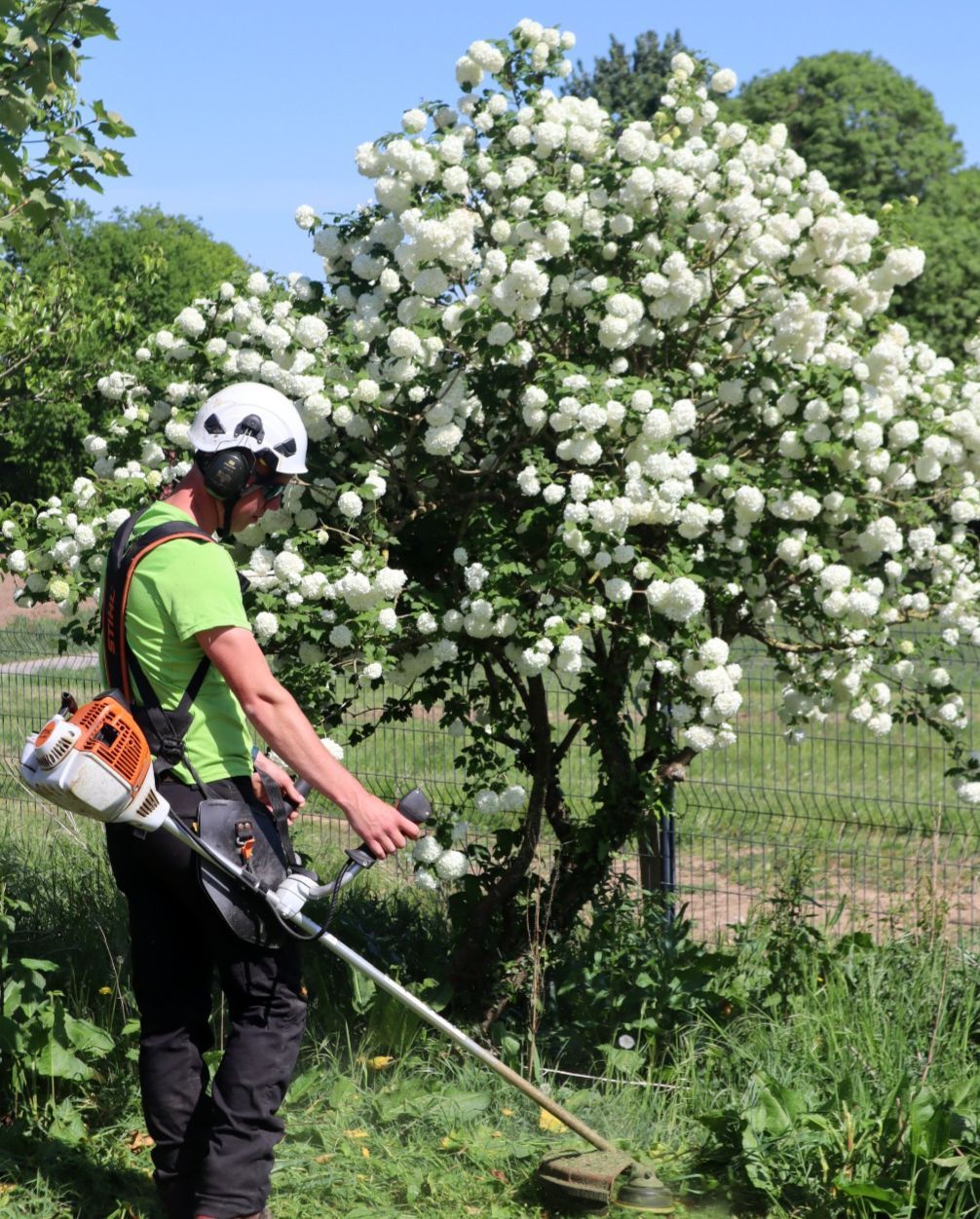 Débroussaillage Débroussaillage